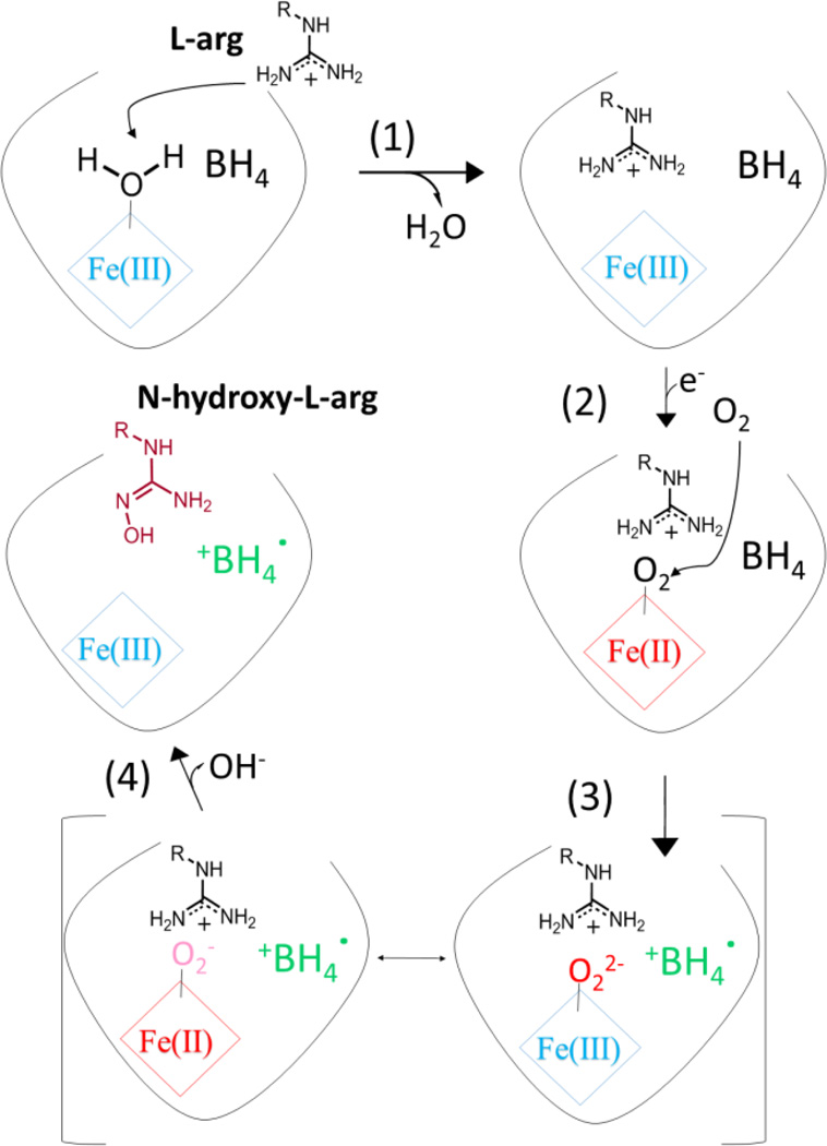 Scheme 2