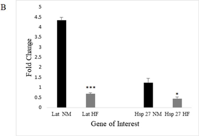 Fig. 5b