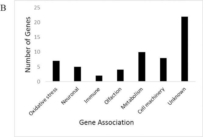 Fig. 4b