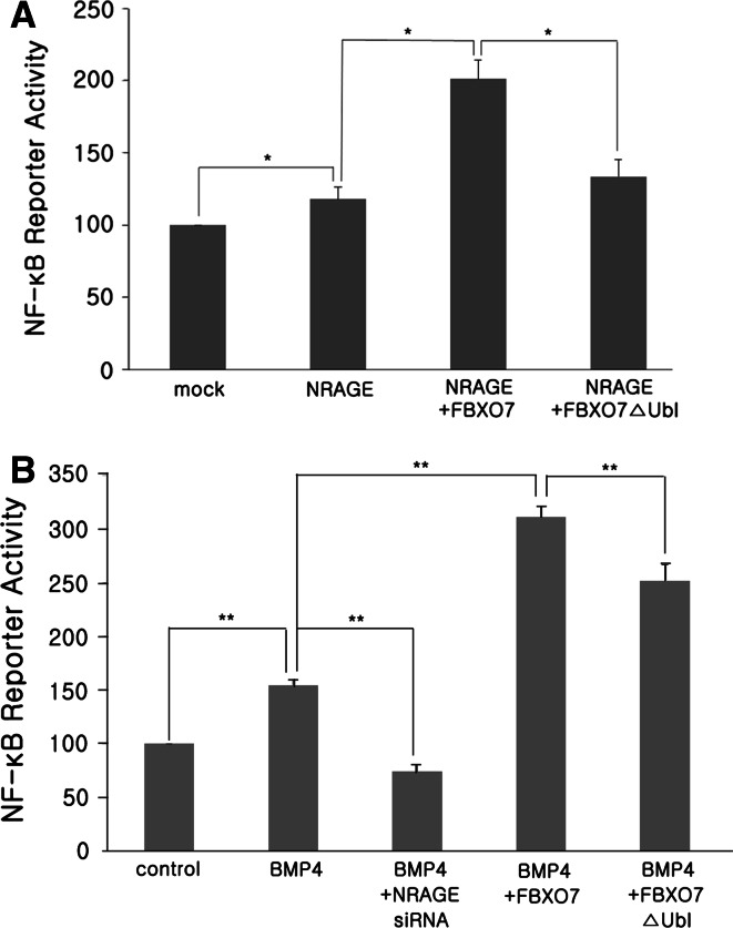 Fig. 7