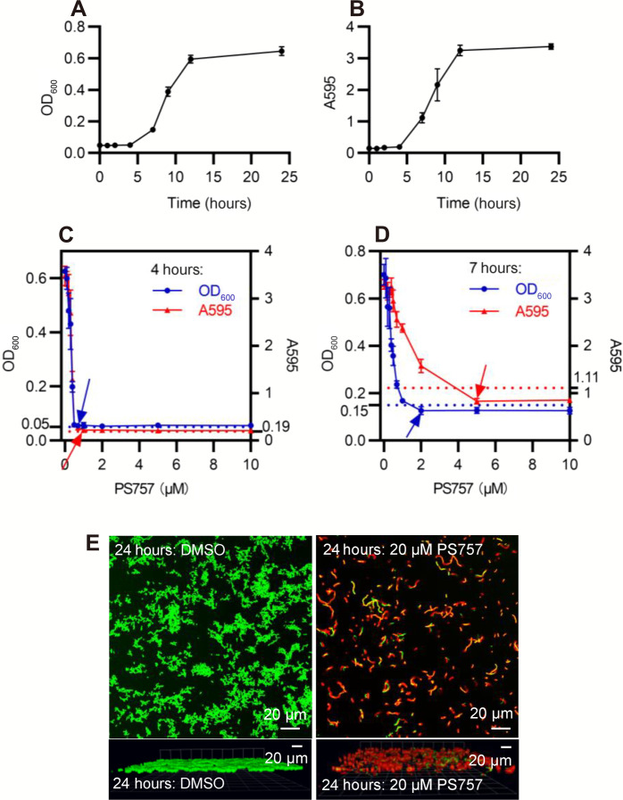 Fig. 2.