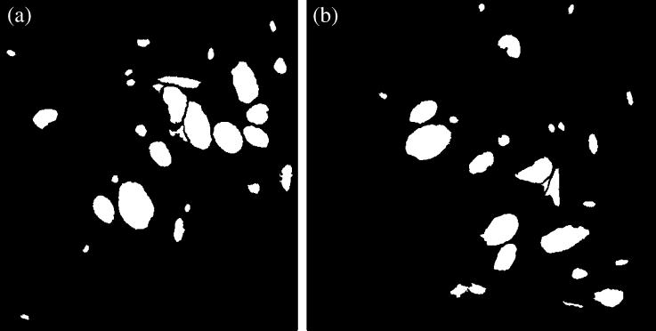 Fig. 13