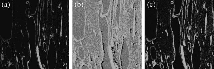 Fig. 16