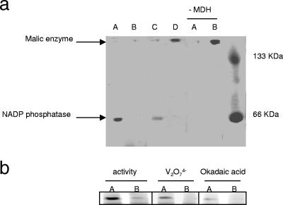 FIG. 7.