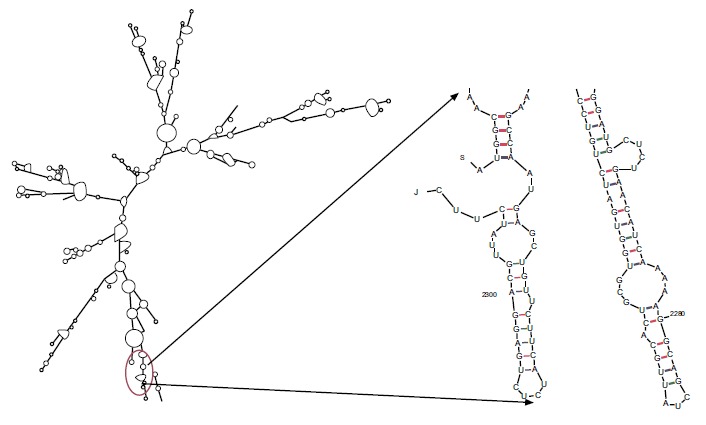 Fig. (3)