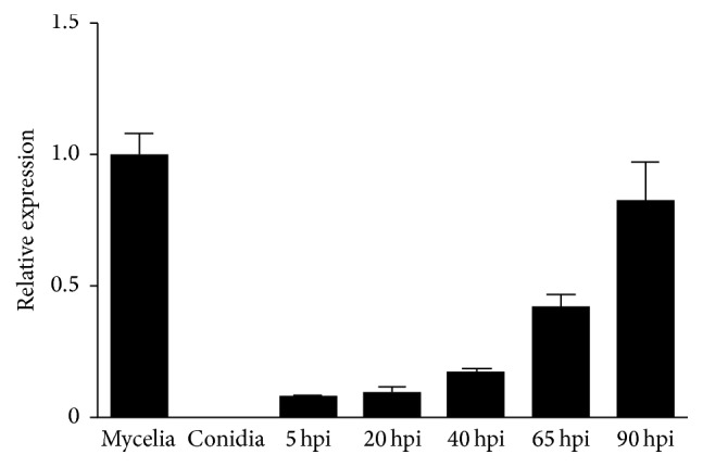 Figure 2