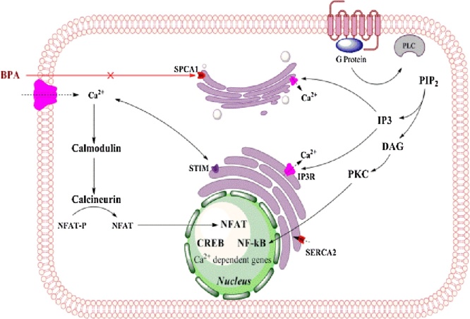 Fig. 4