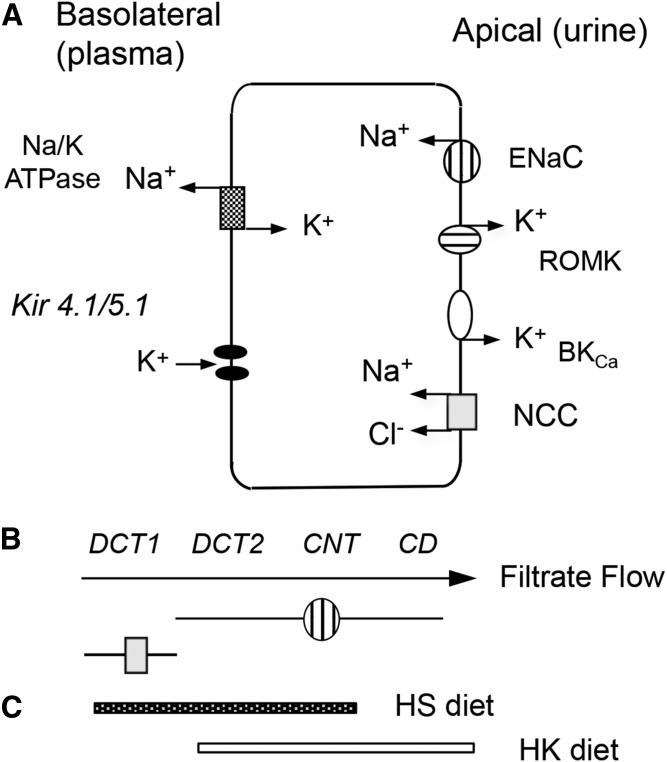 Fig. 6.