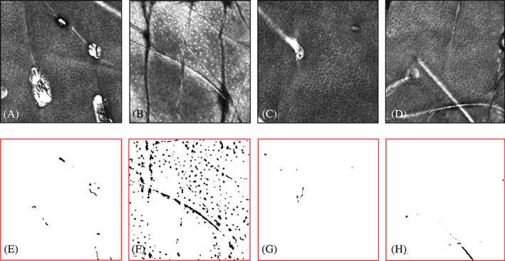 FIGURE 3