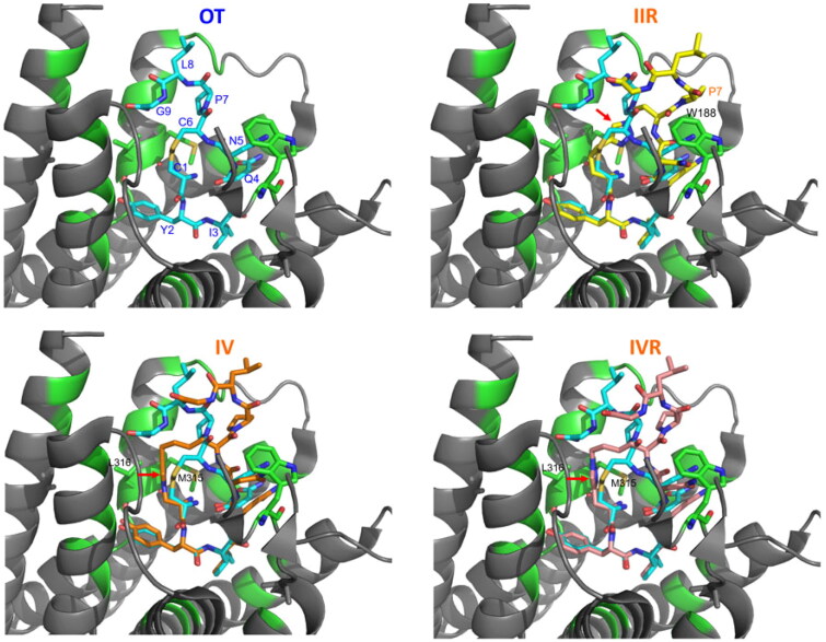 Figure 5.