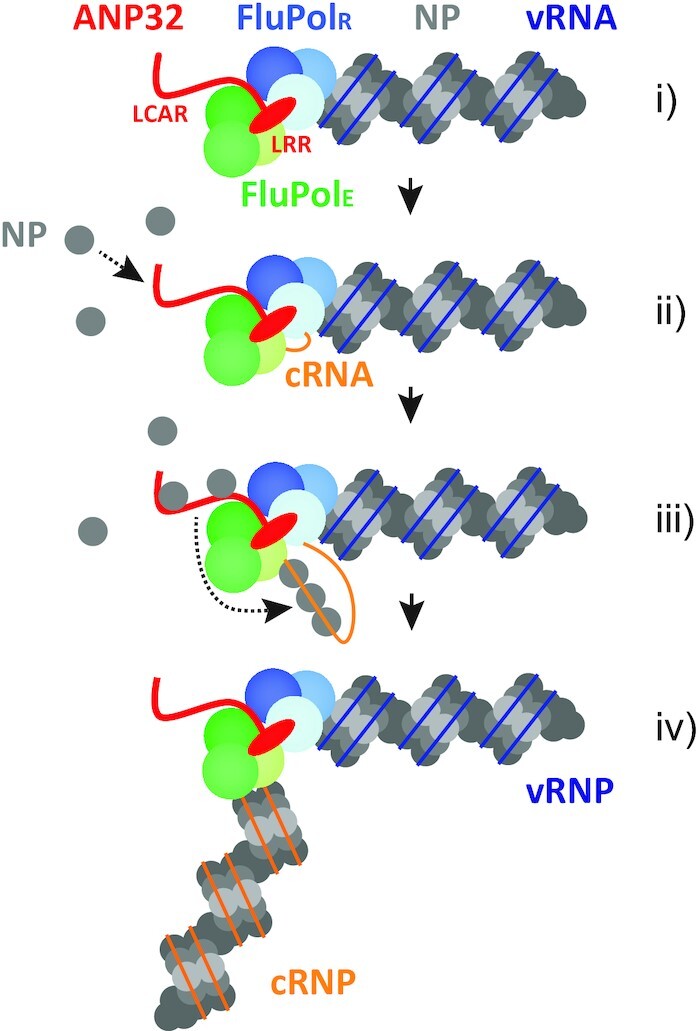 Figure 7.