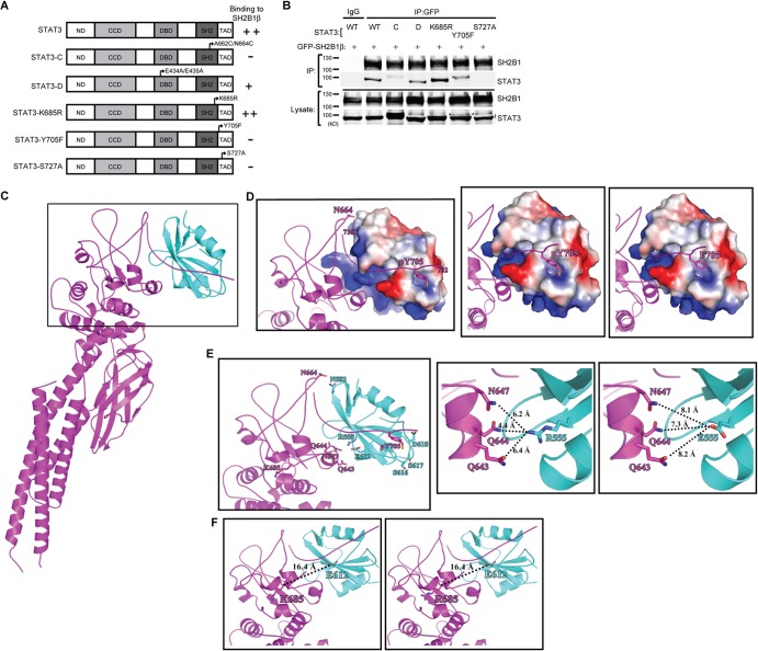 FIG 2