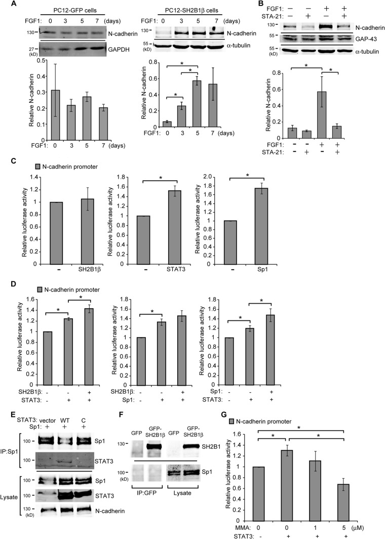 FIG 6