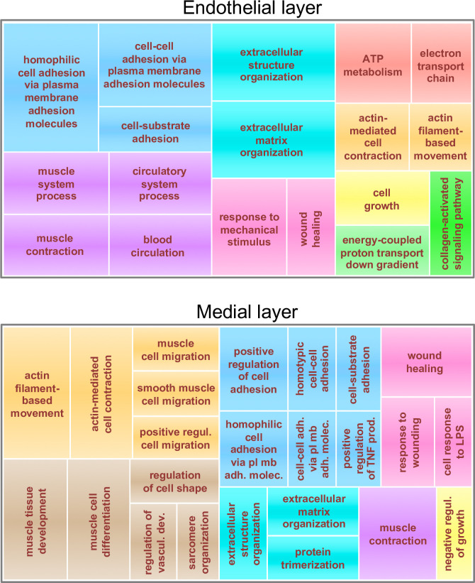 Fig 10