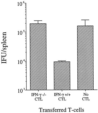 FIG. 5