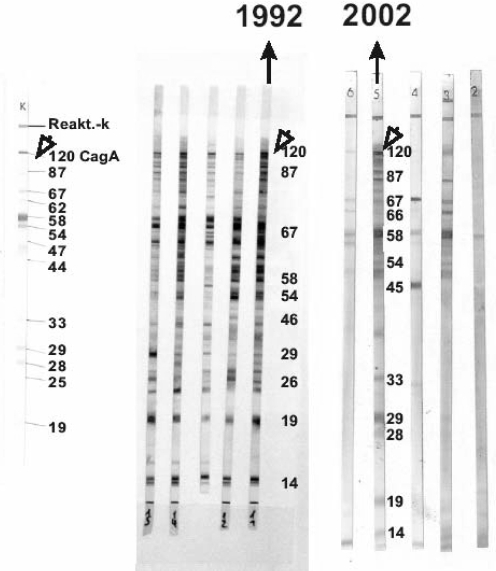 Figure 1)