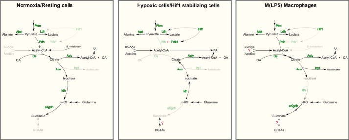 FIGURE 7.