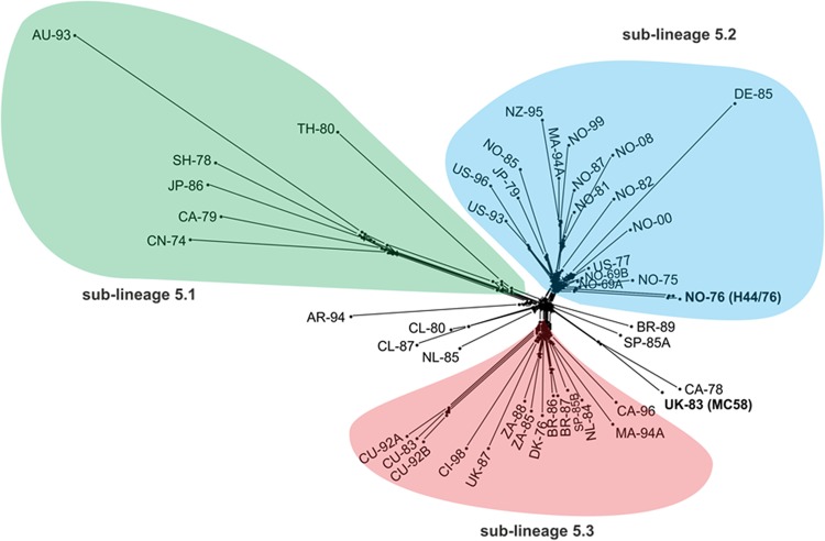 FIG 3