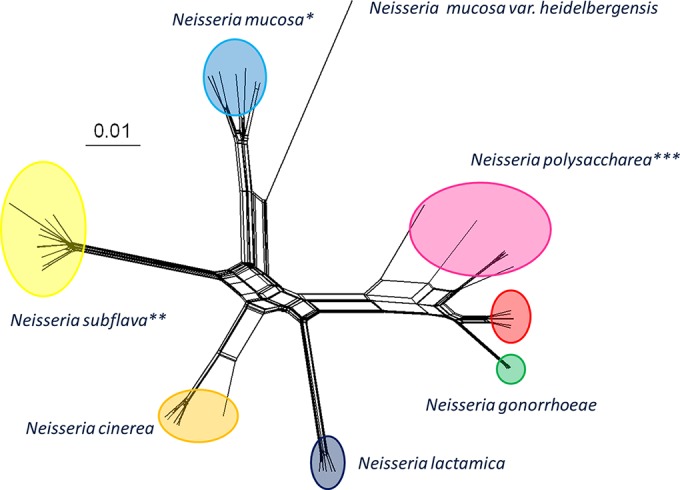 FIG 2