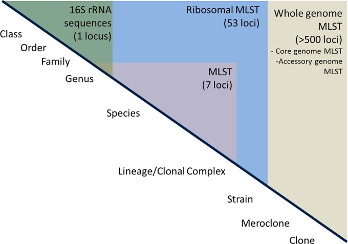 FIG 1