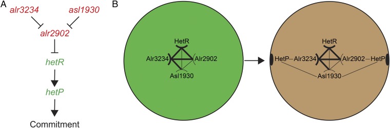 Fig. 6.