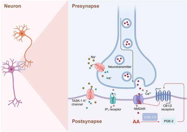 FIGURE 3