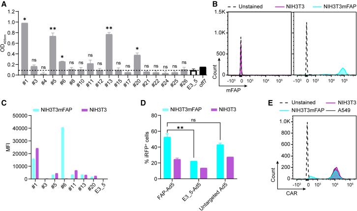 Figure 3