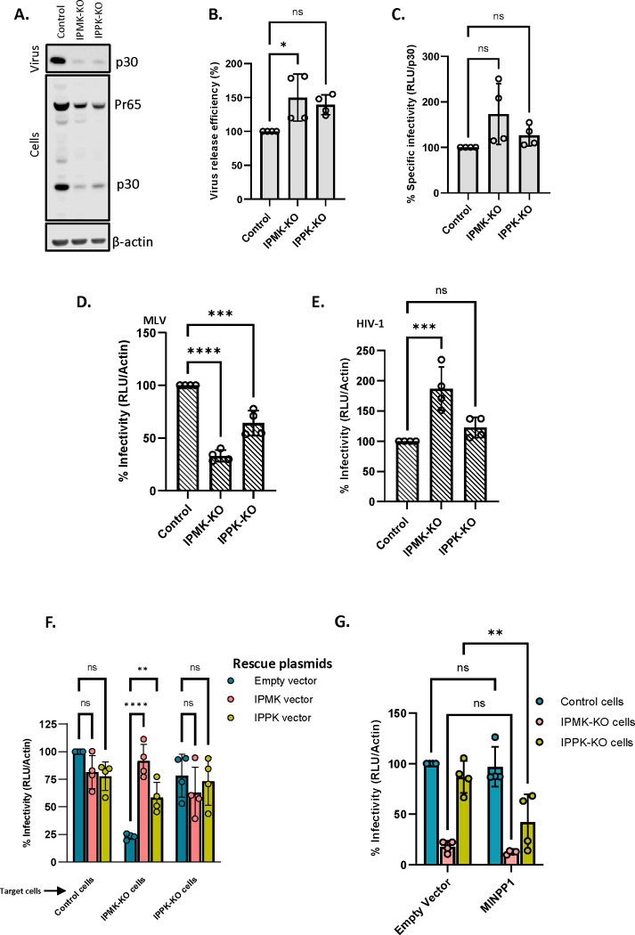 Figure 6: