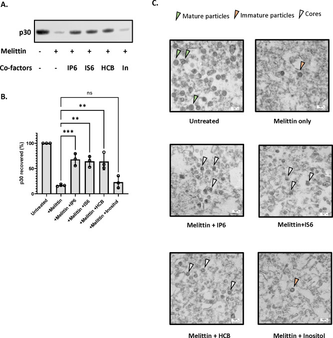 Figure 2: