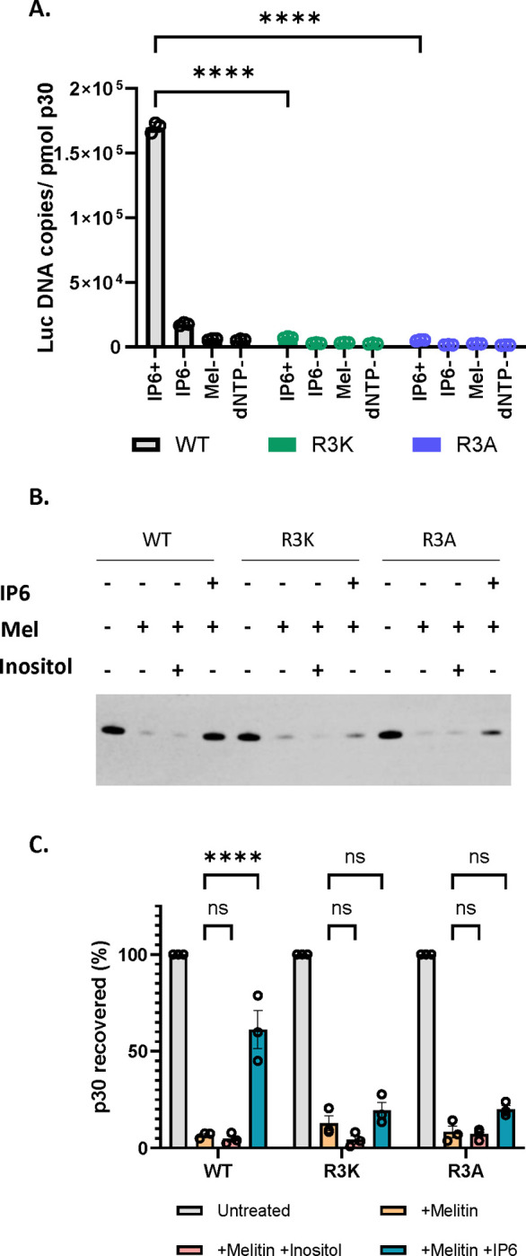 Figure 5: