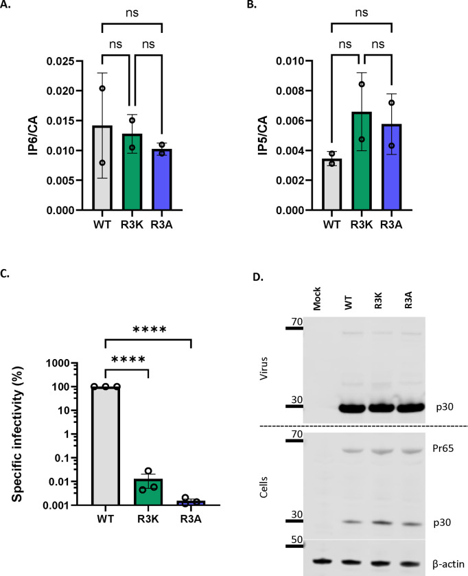 Figure 4: