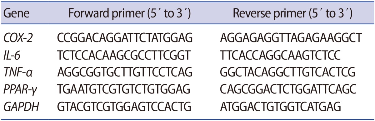 graphic file with name cerm-44-146-i001.jpg