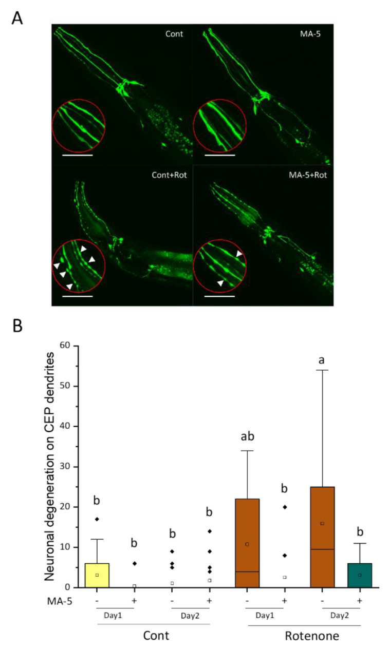 Figure 6