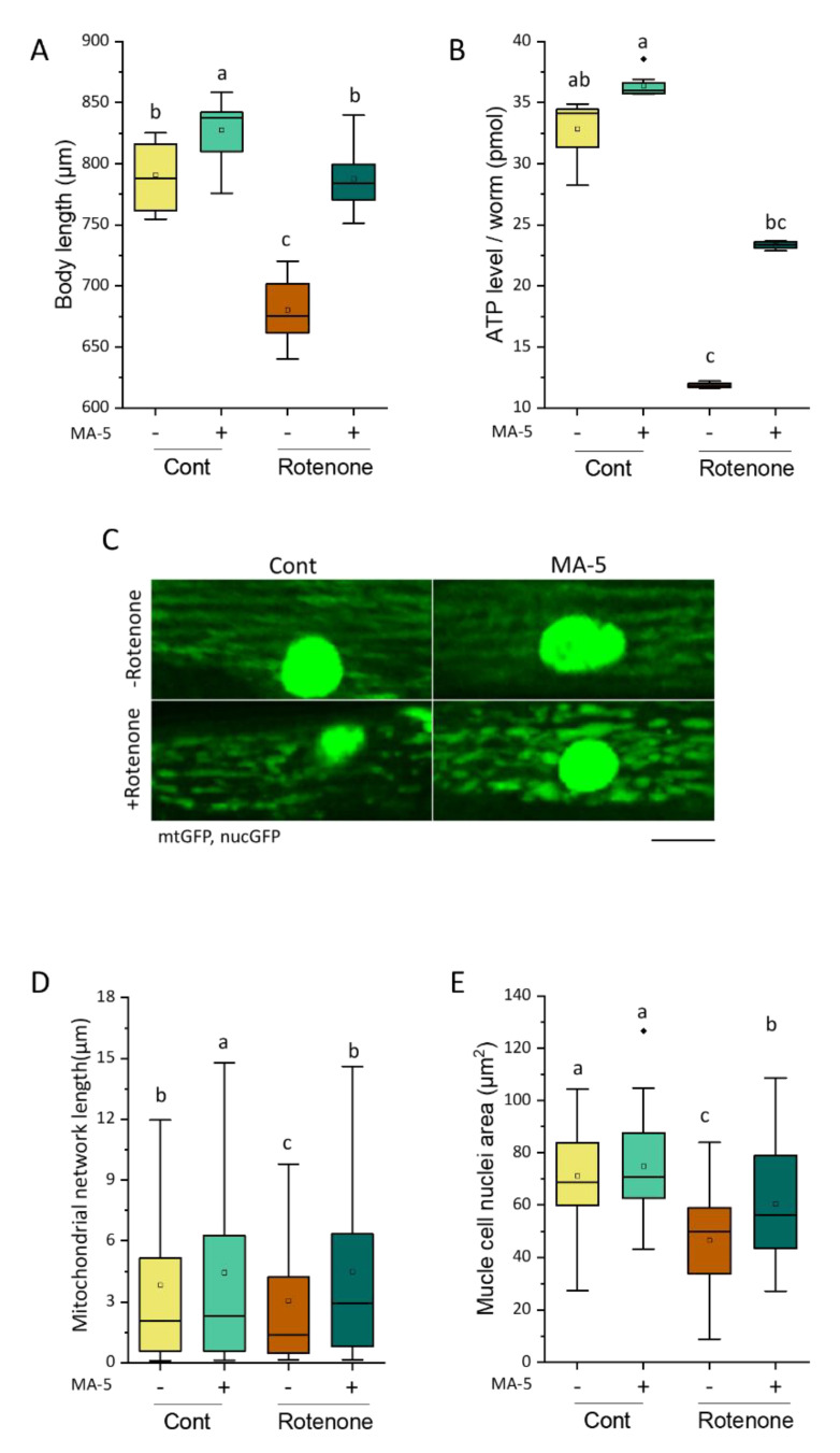 Figure 5