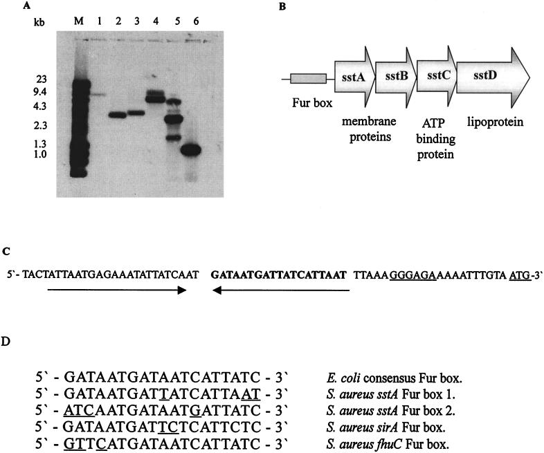 FIG. 1