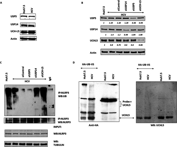 FIG 3