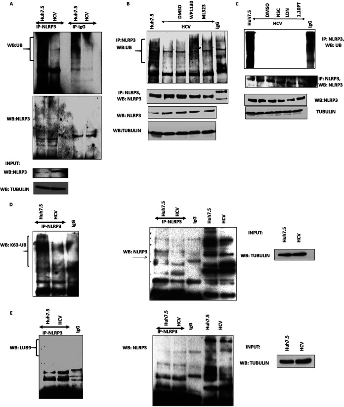 FIG 2