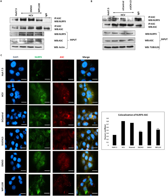 FIG 4