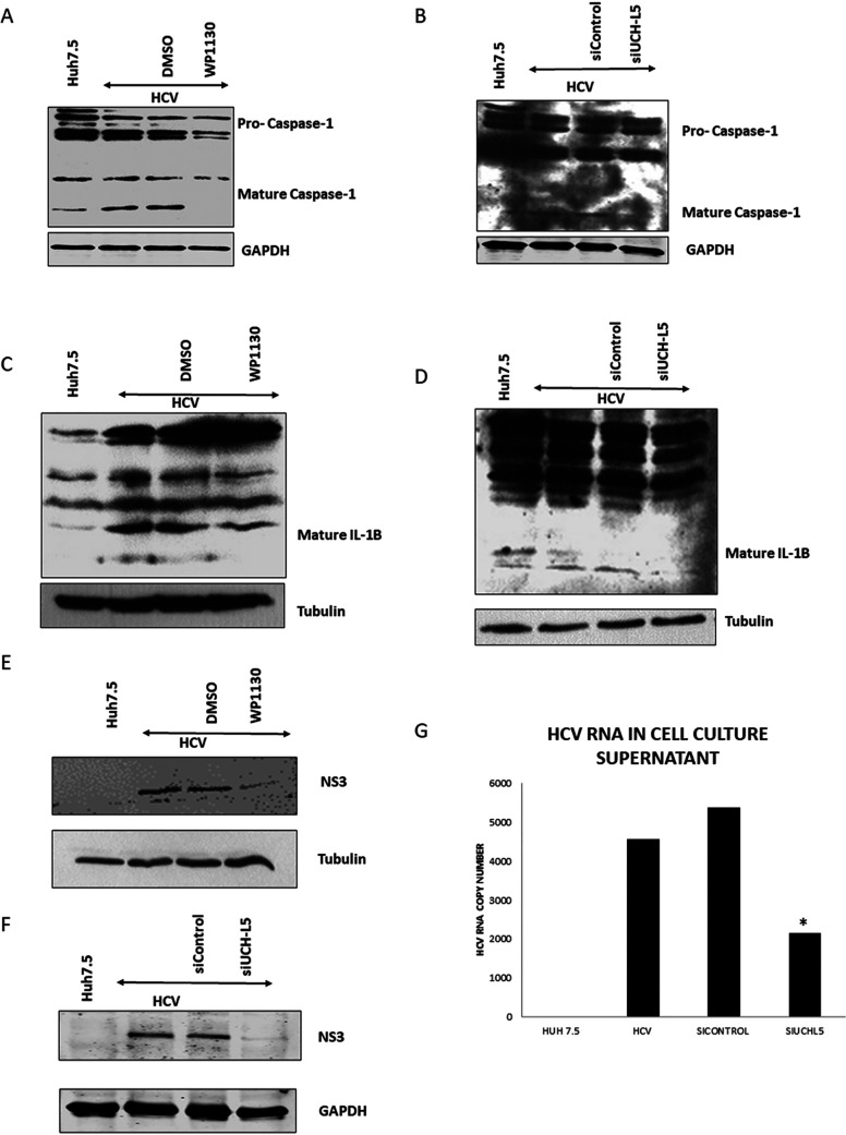 FIG 5