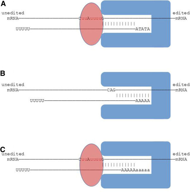 FIGURE 12.