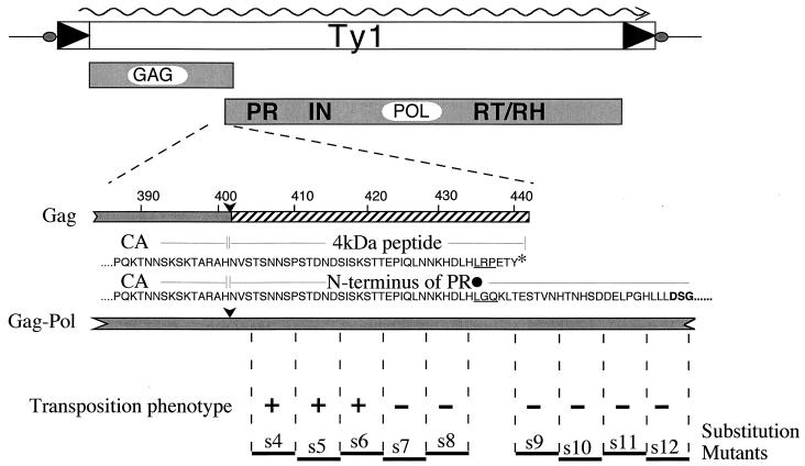 FIG. 1