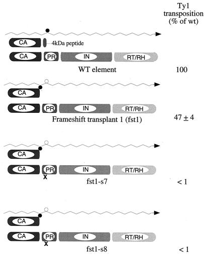 FIG. 6