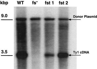 FIG. 5