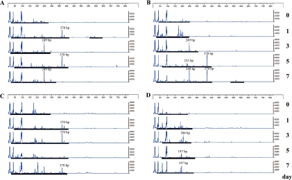 Fig. 2