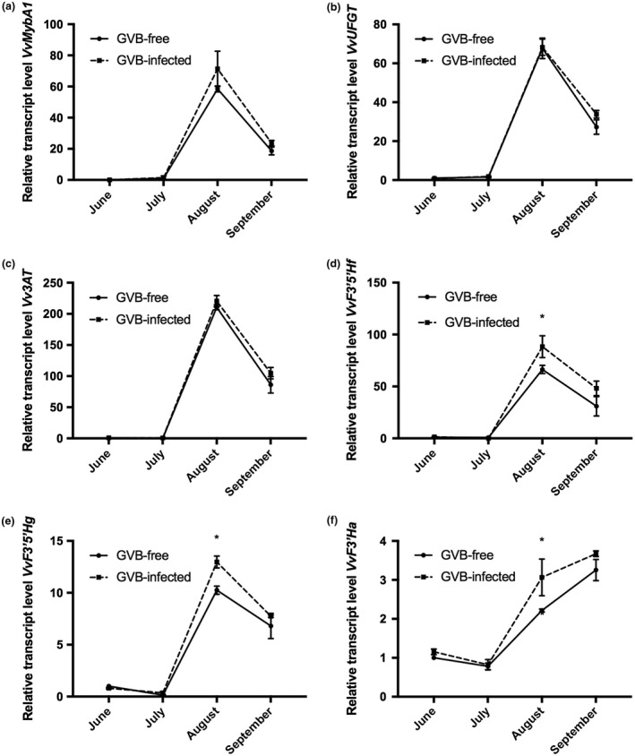 Figure 5