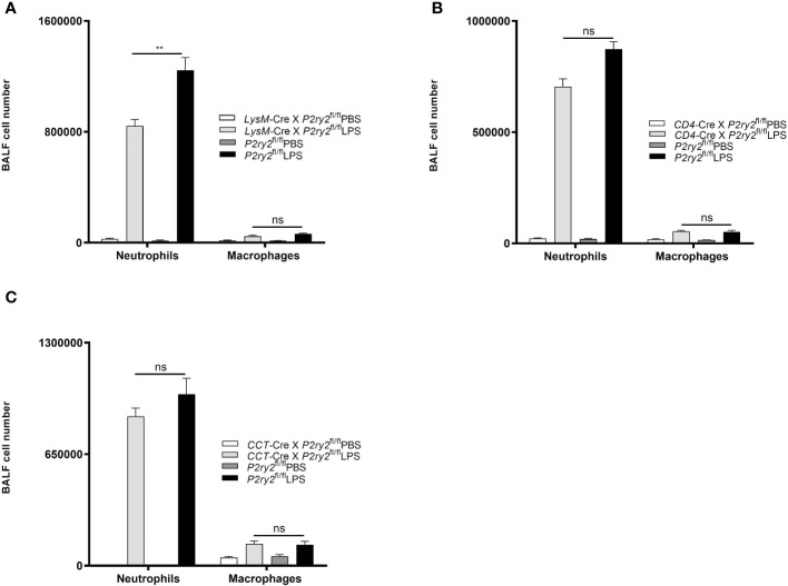 Figure 6