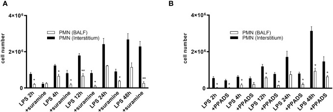 Figure 7