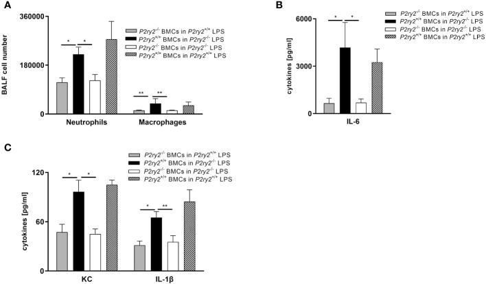 Figure 5