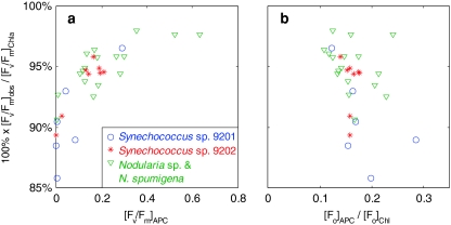 Fig. 10