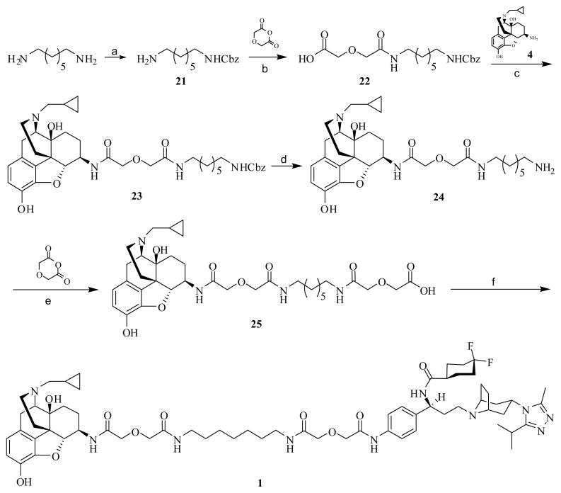 Scheme 4